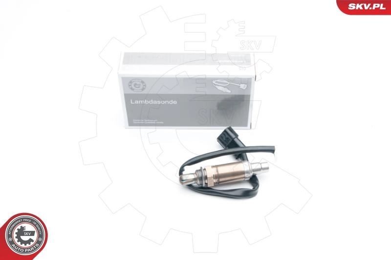 Oxygen Sensor
